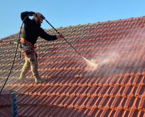 Roof Cleaning Service